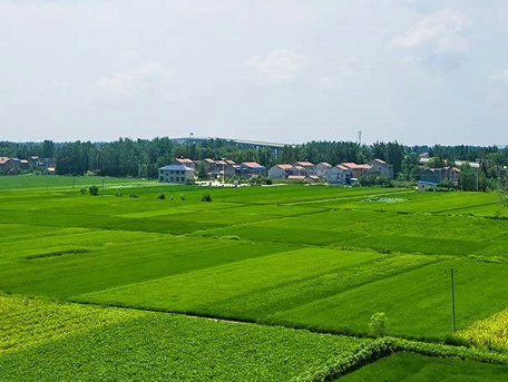 绍兴叶面肥