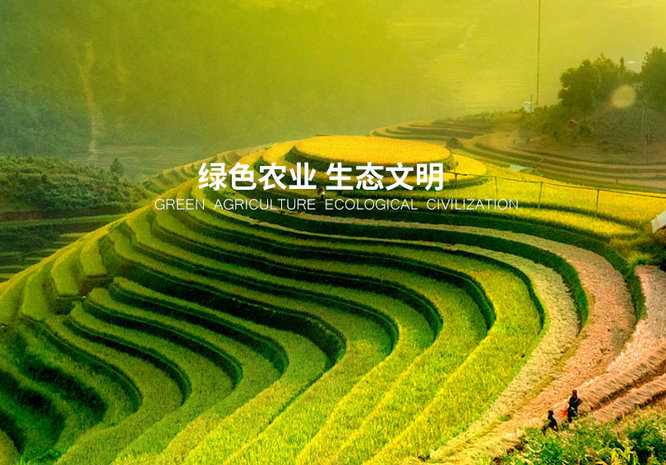 banner3_副本.jpg